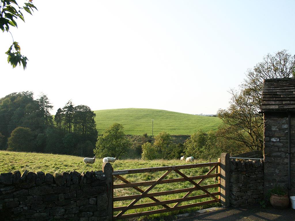 3 bedroom detached house To Let in Ribble Valley - IMG_2537.JPG